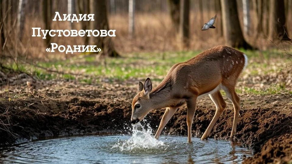 #ПоЧитаемЗемляков
