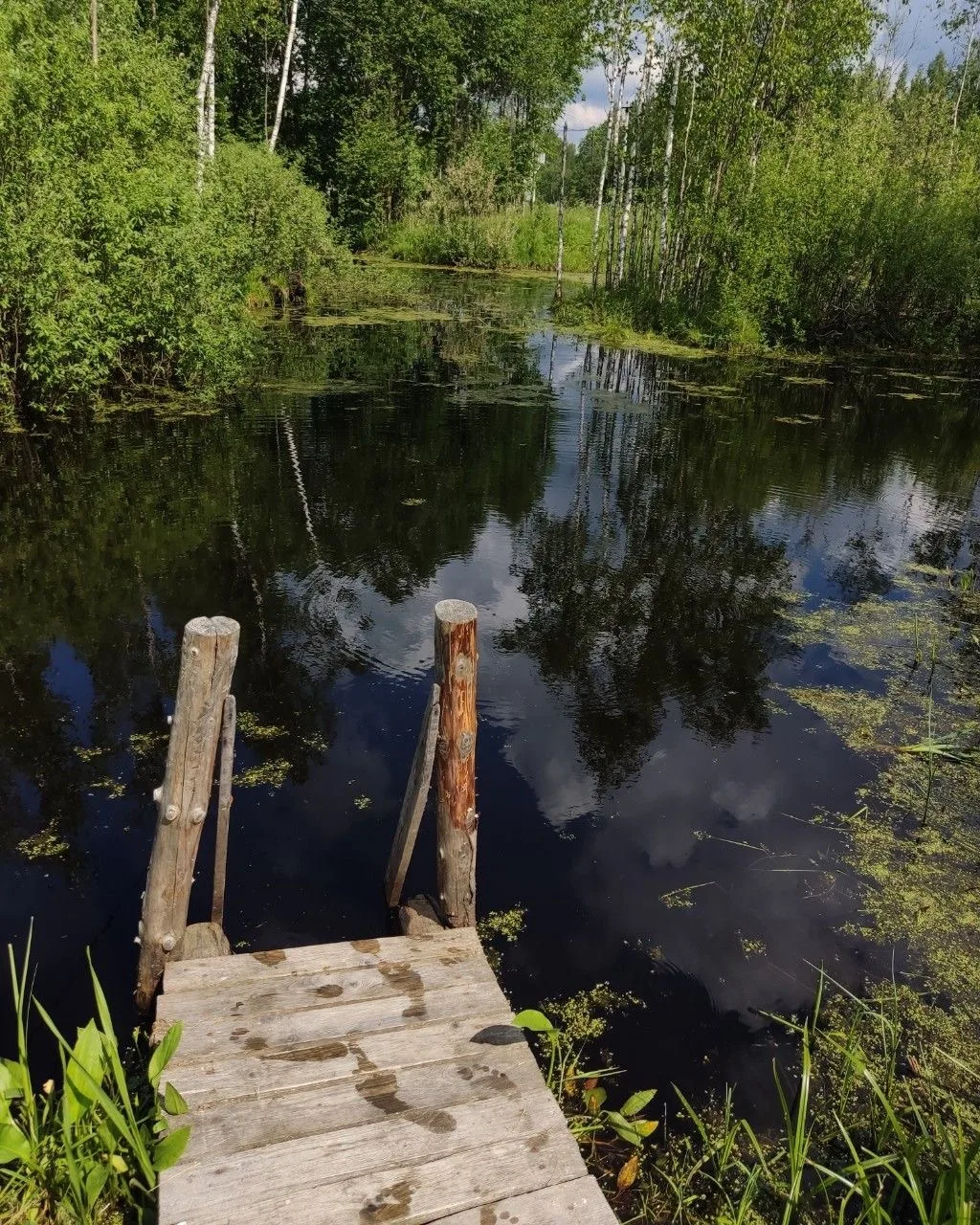 Доброй ночи💚❤️