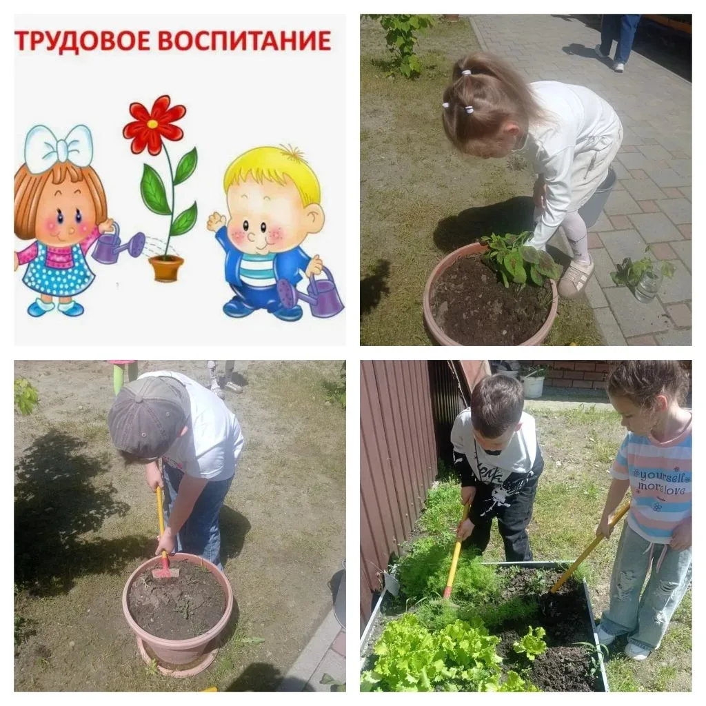 В  рамках трудового воспитания ,мы с ребятами решили попробовать себя в роли настоящих ...