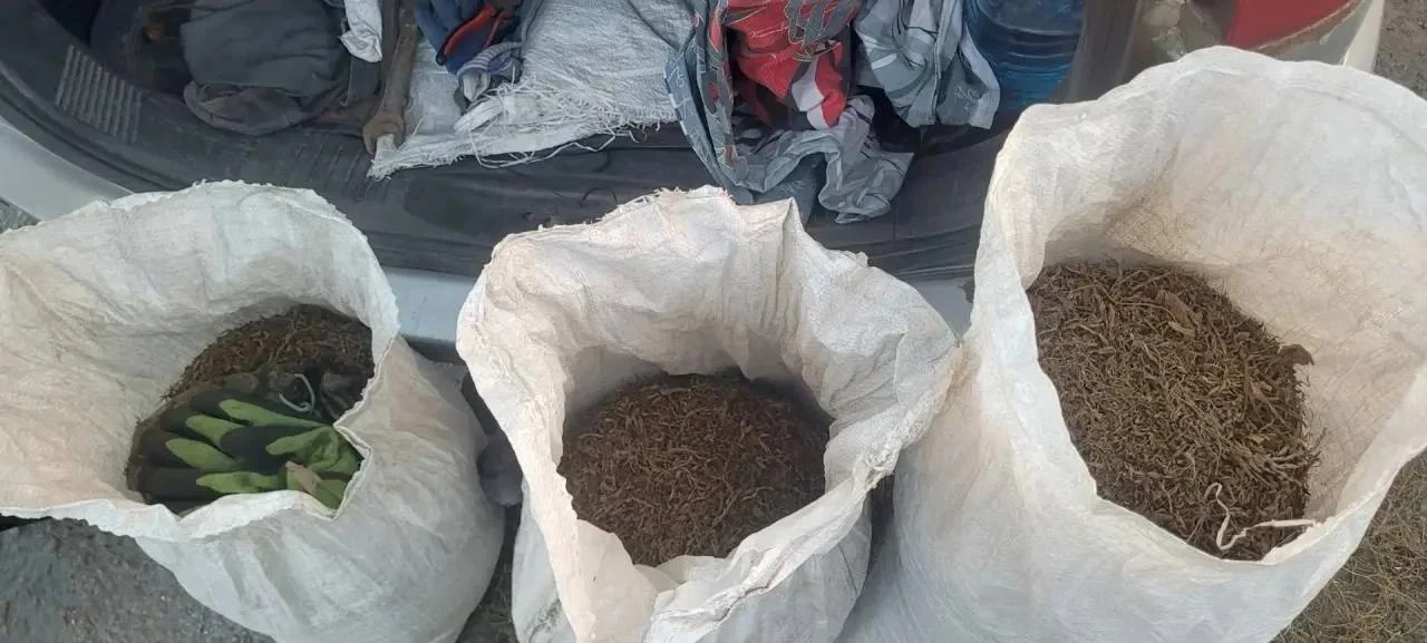 В Алтайском крае у двух мужчин изъяли более 11 кг марихуаны