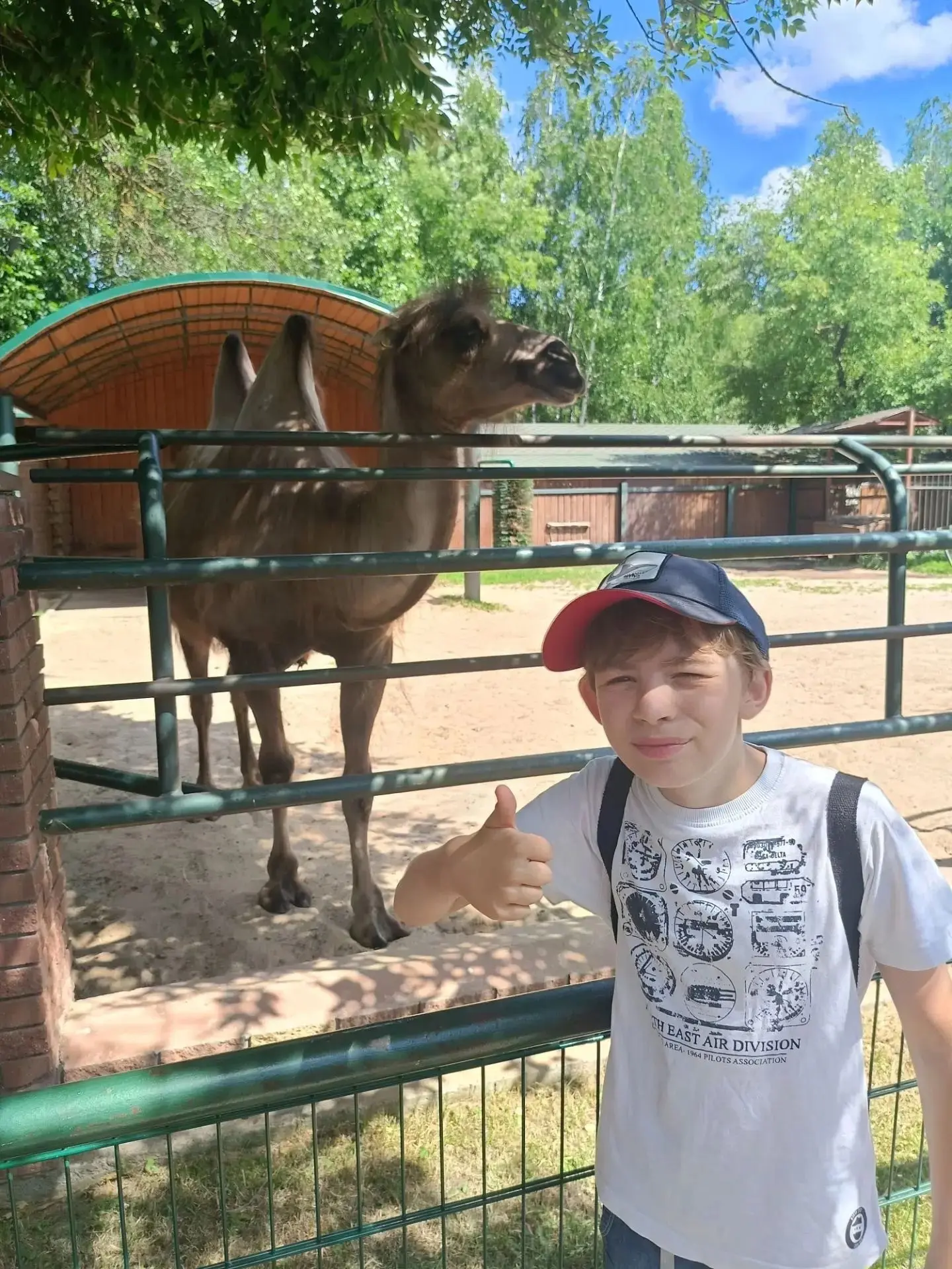 📸Региональный фотоконкурс "Лето в КАДРе"📸