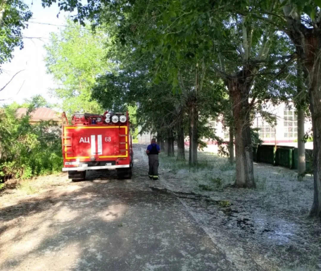 В связи с активным цветением тополя улицы в центре села покрылись густым слоем тополино...