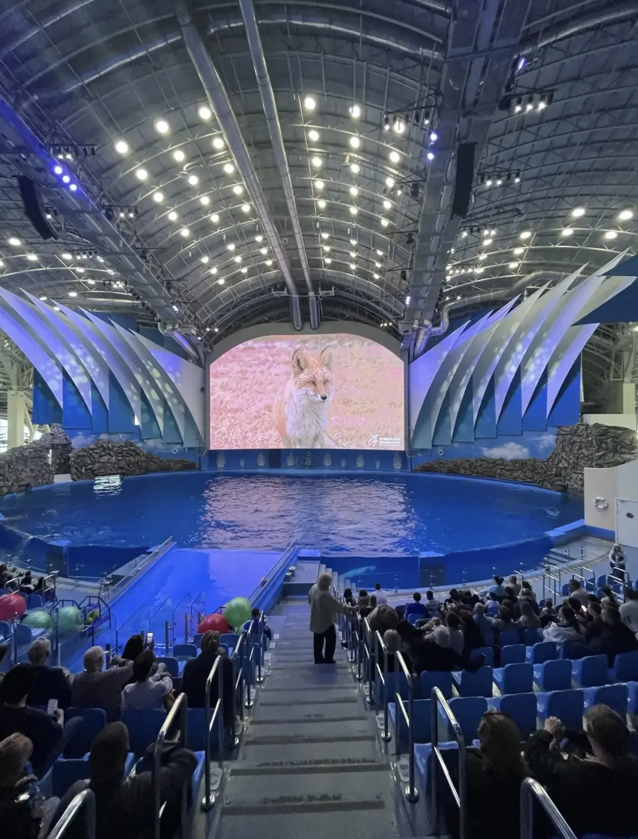 🌊 Выходные во Владивостоке 🌊  Ученики 8 «В» класса провели незабываемые выходные в столице Дальнего 