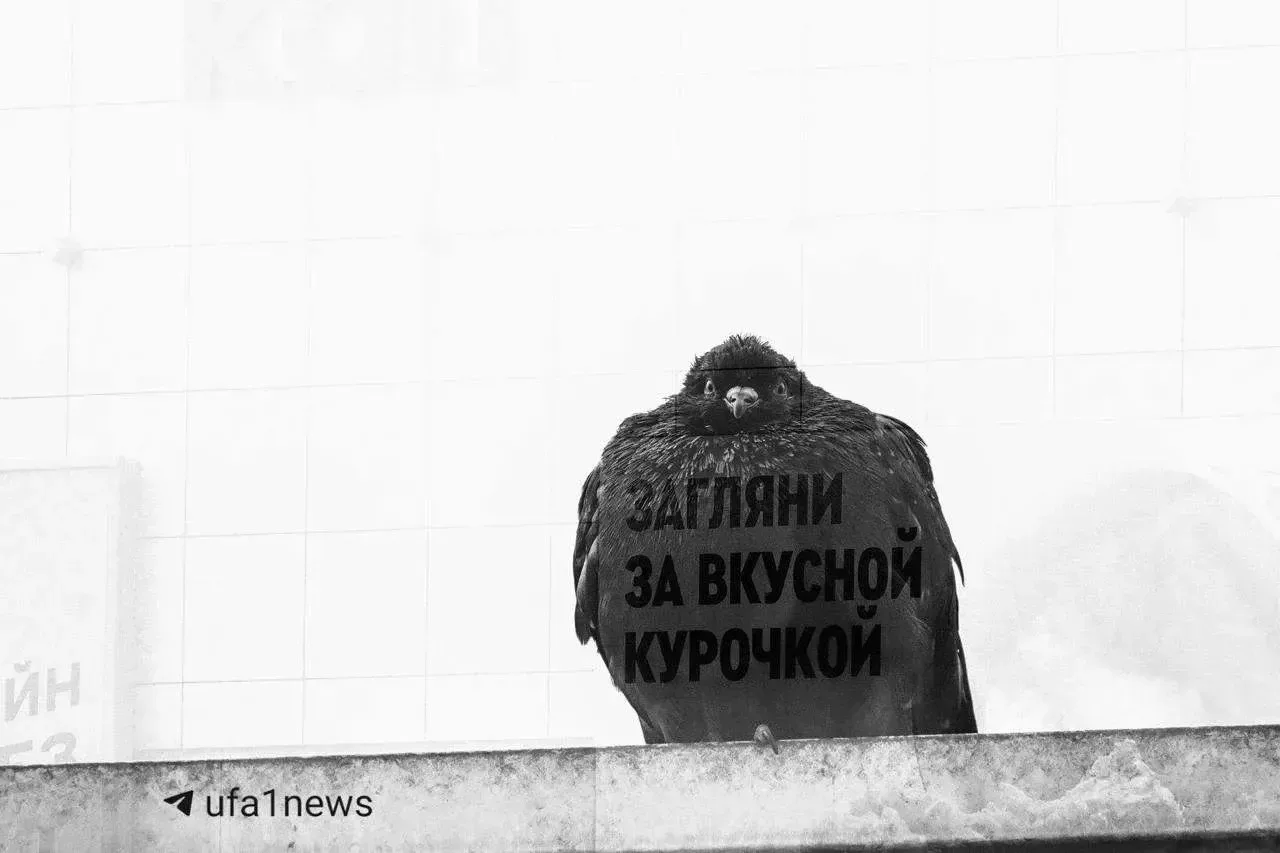 Наш фотограф Булат Салихов сделал что-то очень классное 🖤