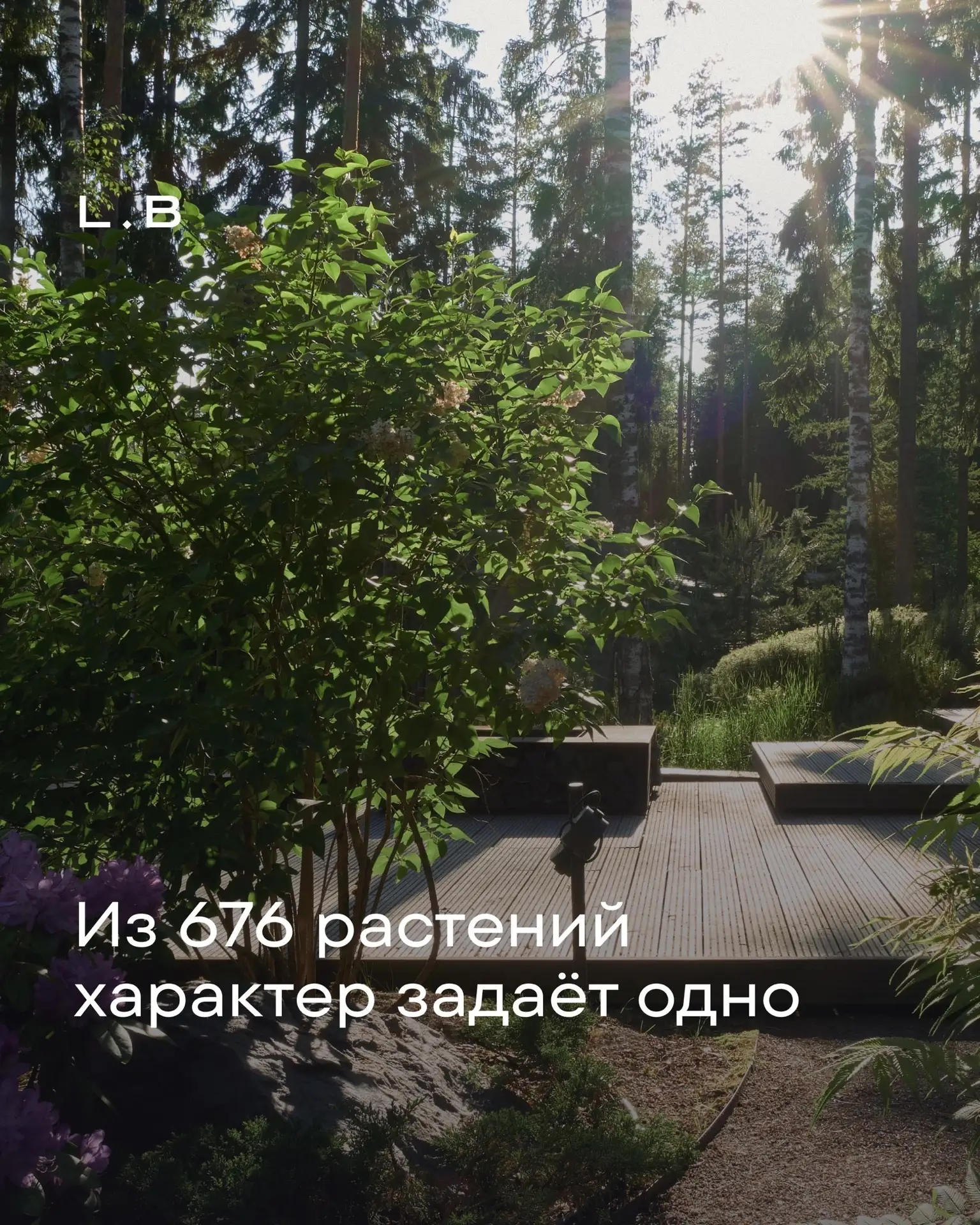 Из 676 растений характер задаёт одно