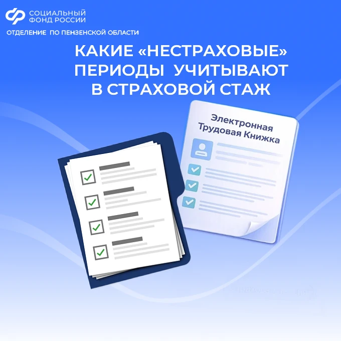 📂 При определении права на страховую пенсию и исчислении ее размера учитываются не тол...