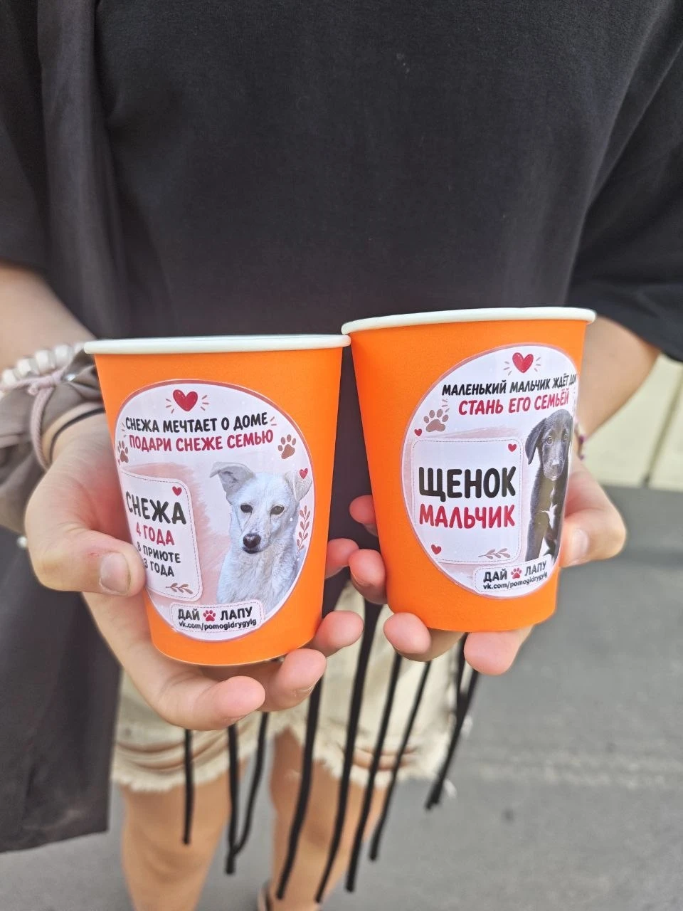 Теперь наших милых хвостиков можно встретить даже в кофейне! 😊 Акцию с яркими стаканчи...