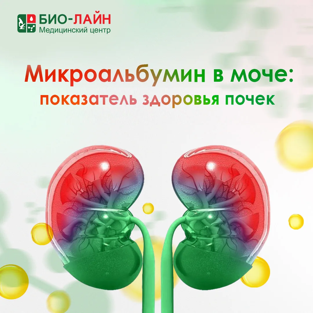 🧪 Микроальбумин в моче: показатель здоровья почек

Микроальбумин — это небольшой белок, который в н