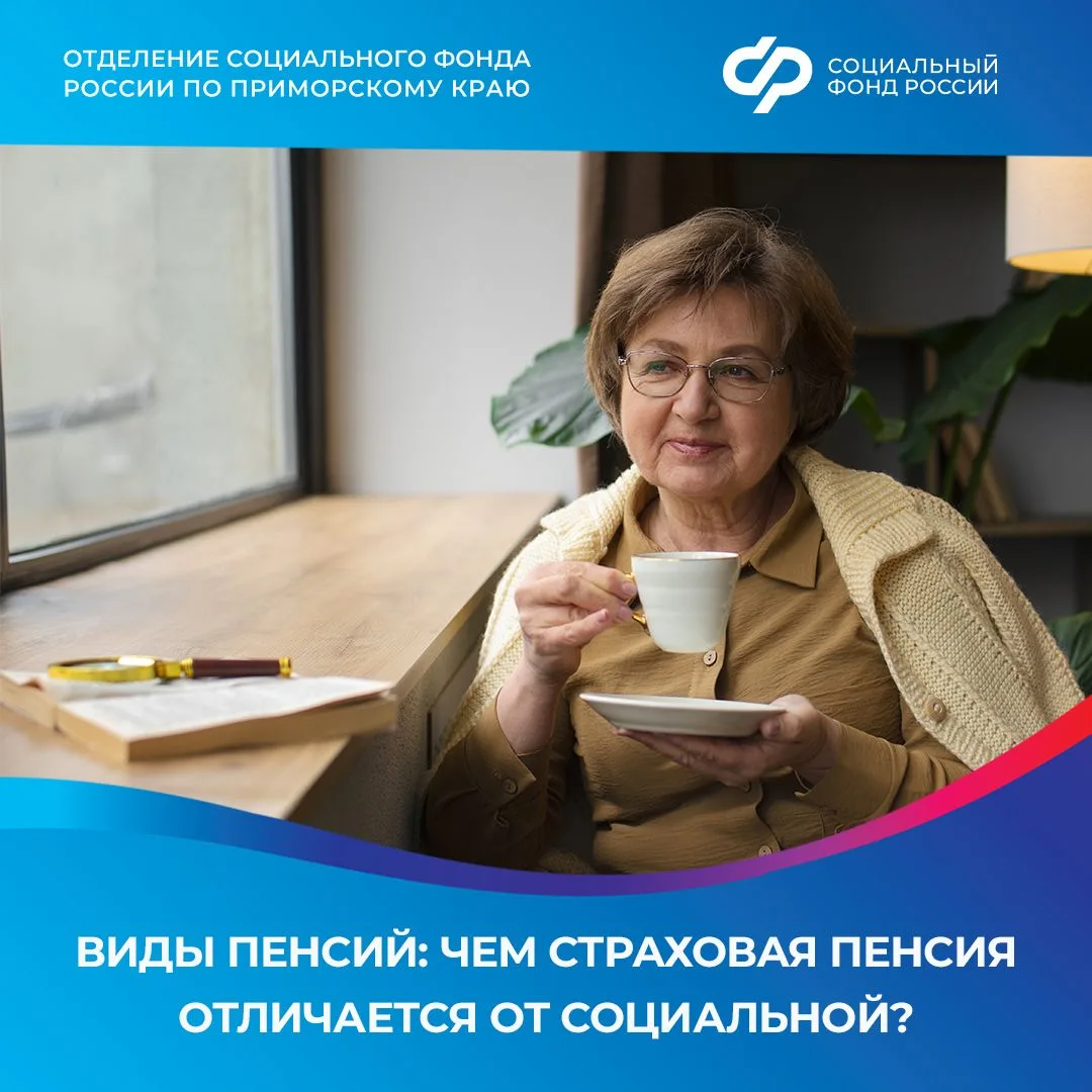 Виды пенсий: чем страховая пенсия отличается от социальной?   Разбираемся в двух основных видах пенс