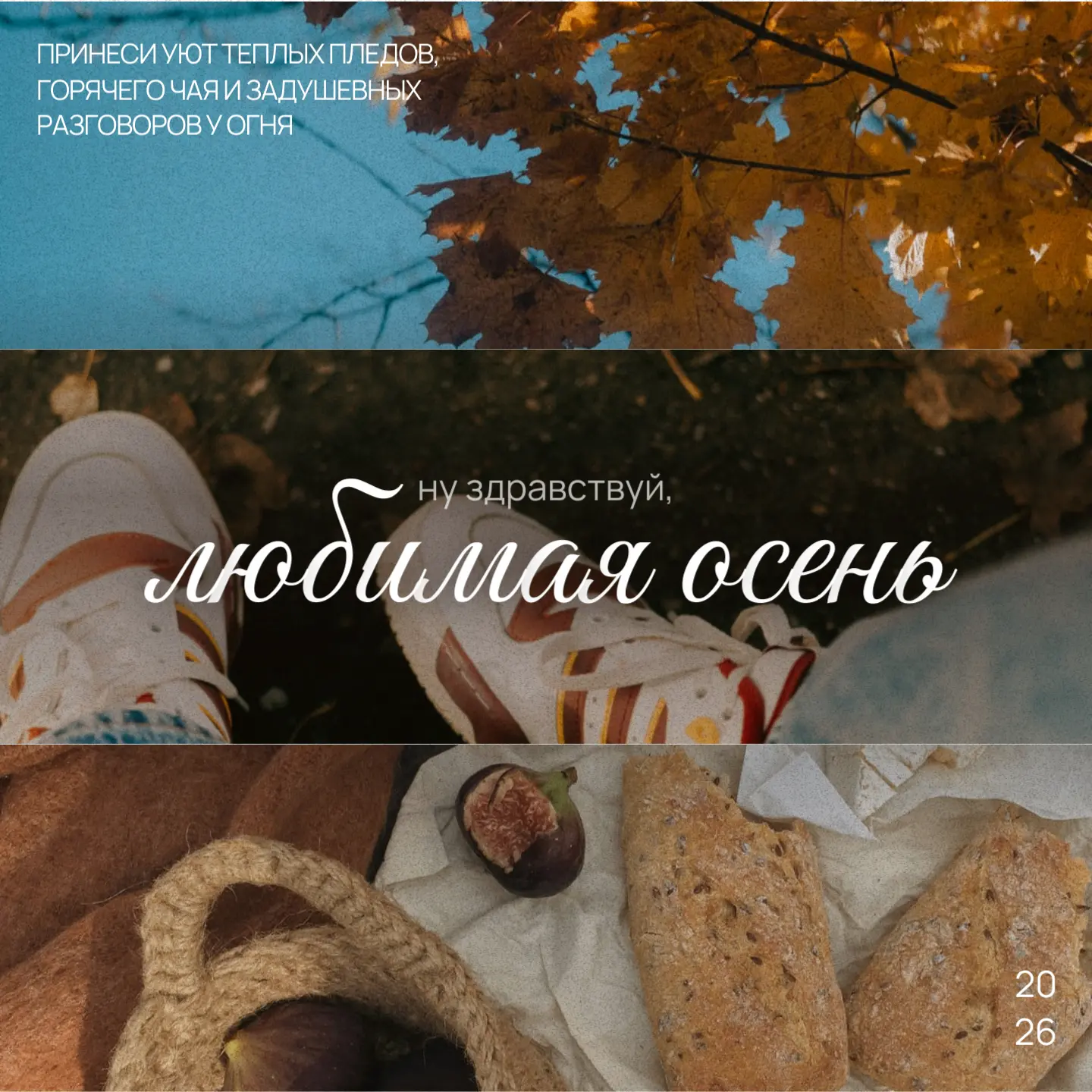 Начало осени — любимая пора!