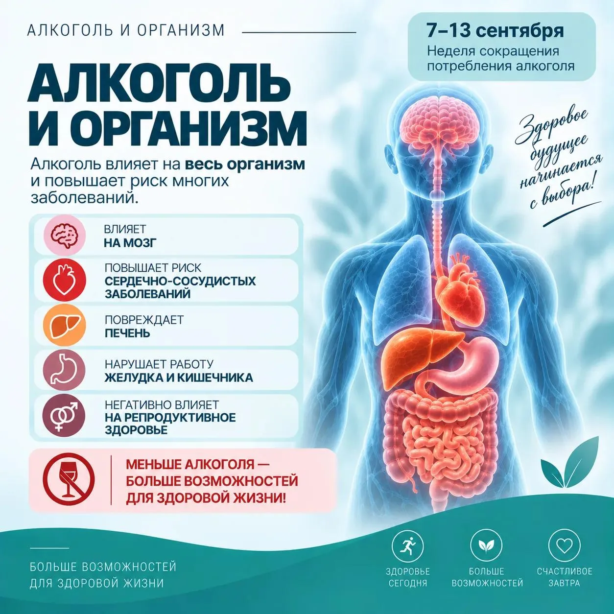 🍷 Алкоголь: что происходит с организмом?