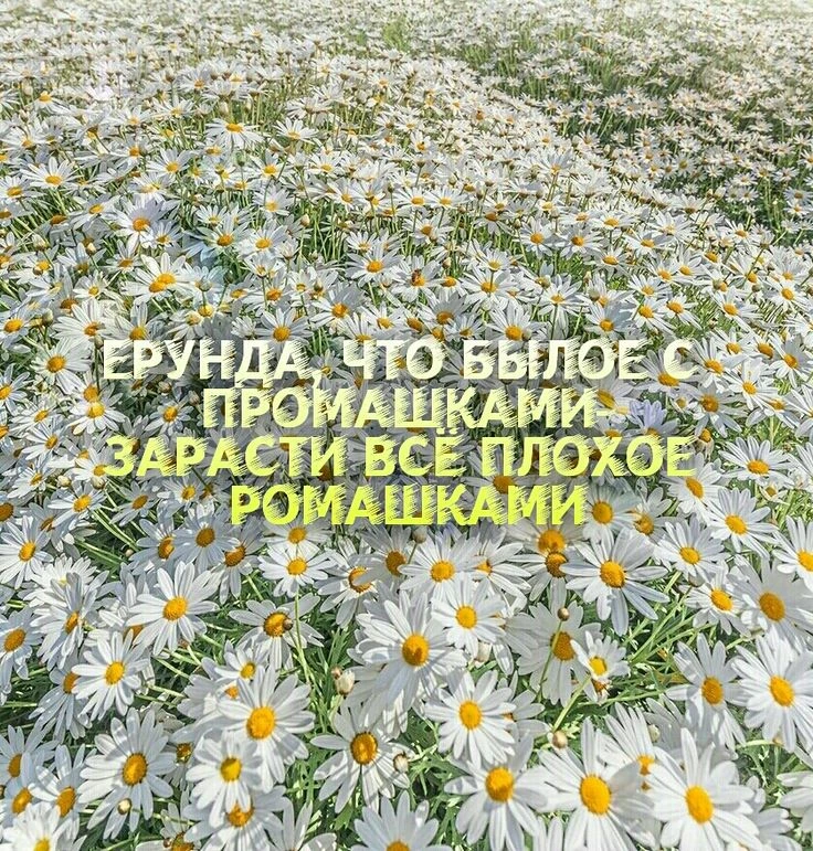 💛💛💛