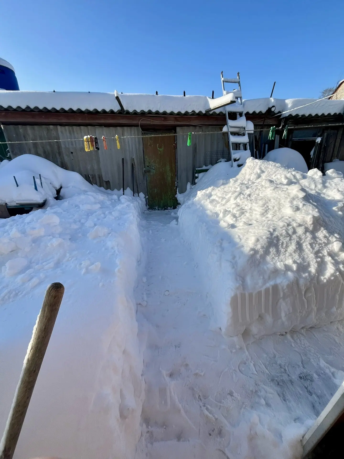 Трудовой десант продолжается!  ☃️Зима в этом году выдалась снежная ❄️ и воспитанникам волонтерского 