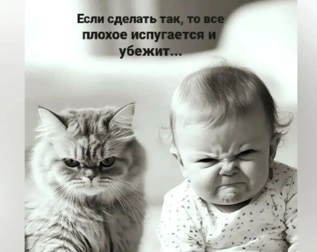🤣Юмор в картинках
