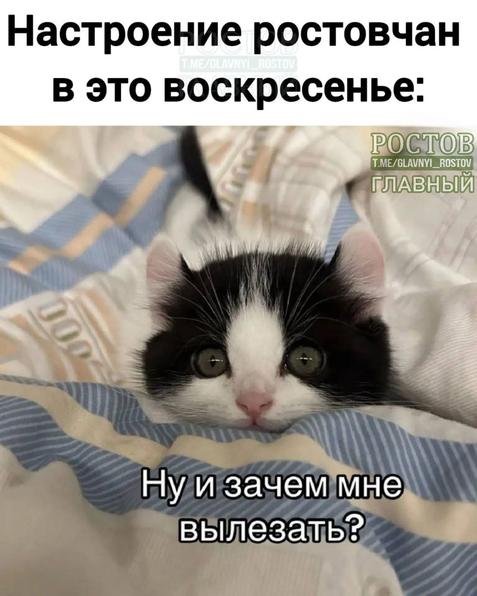 🤗