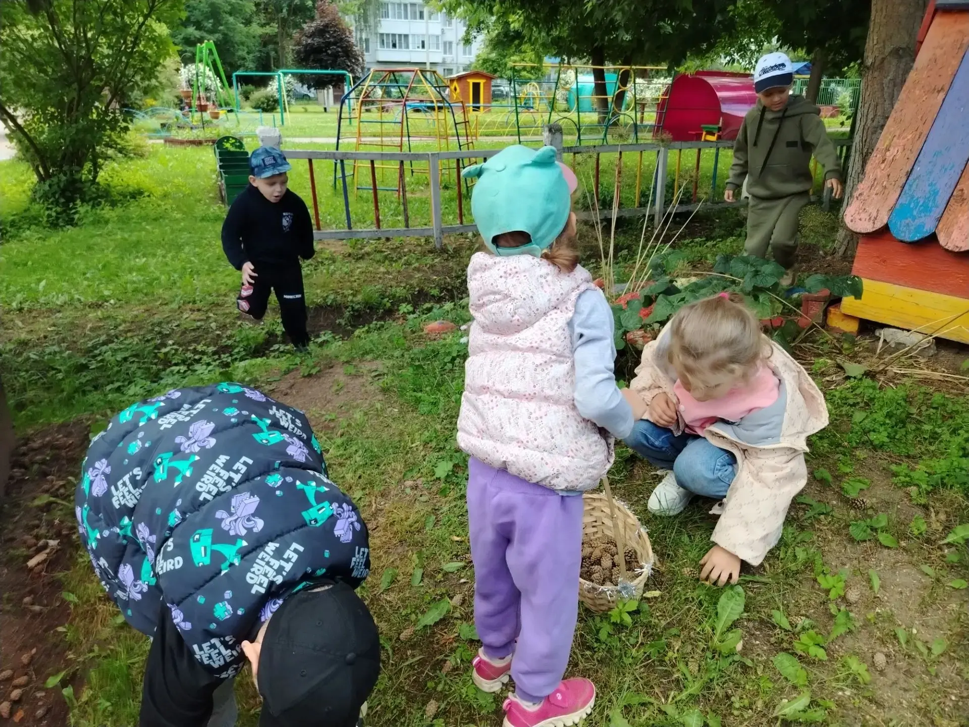 В детском саду дети получают первые сведения о природе. Бесконечно разнообразный мир пр...