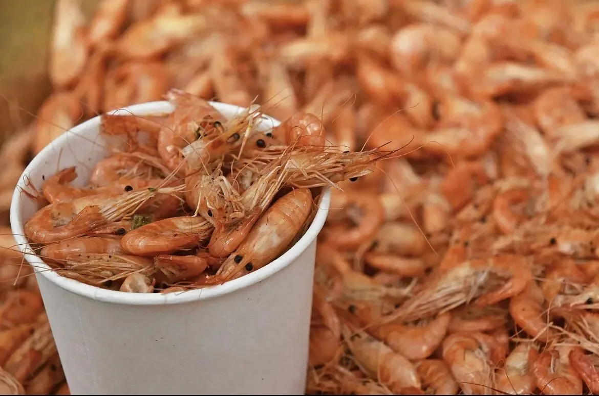 🦐 Учёные подтвердили безопасность азовских креветок для потребителей

Специалисты Институт биологии