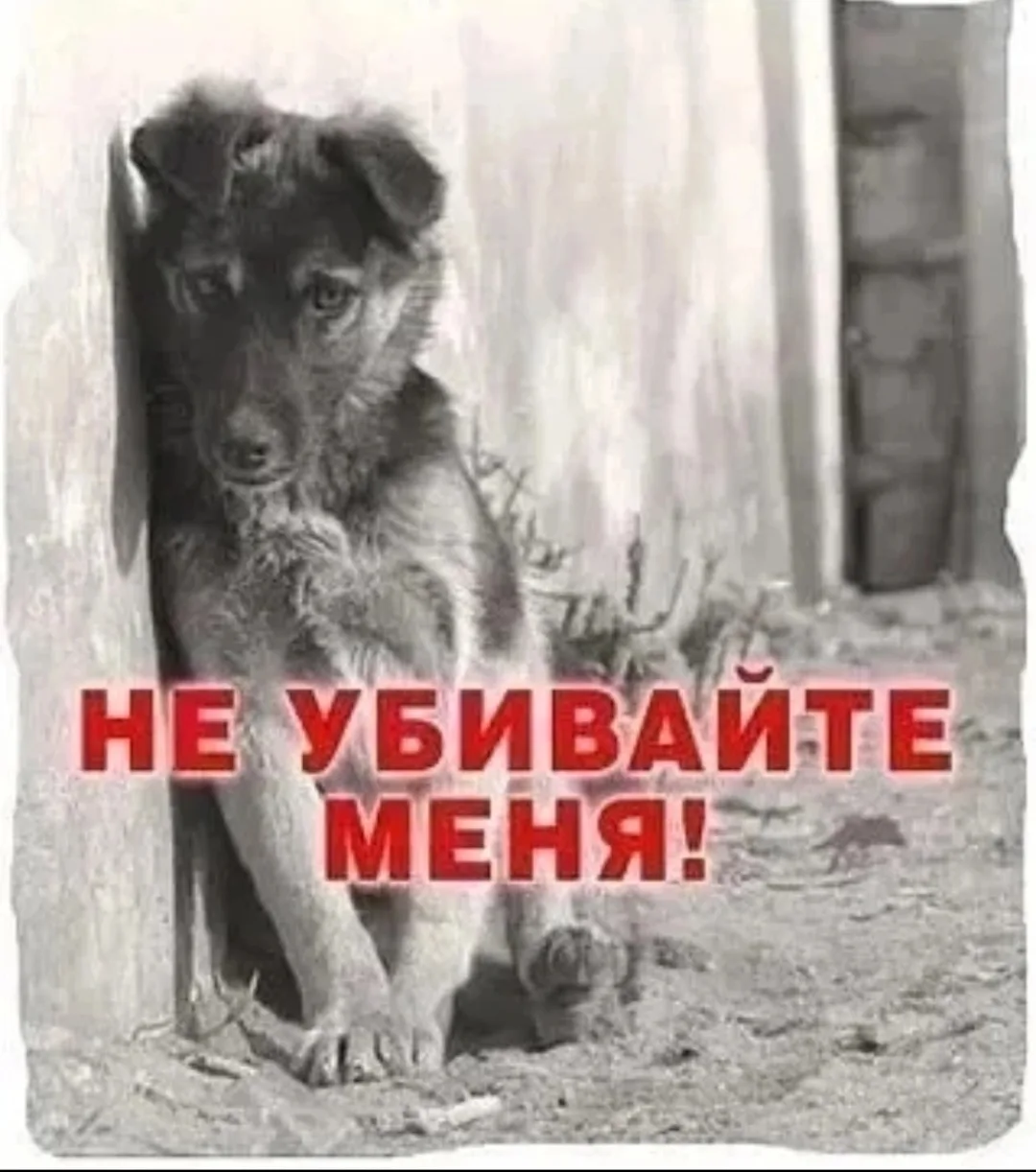 про АНКЕТУ и ЗЕРКАЛО