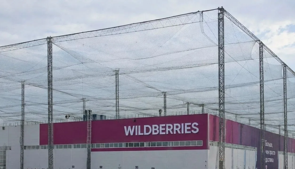 Wildberries закупит пол миллиона квадратных метров антидроновой сетки для защиты своих ...