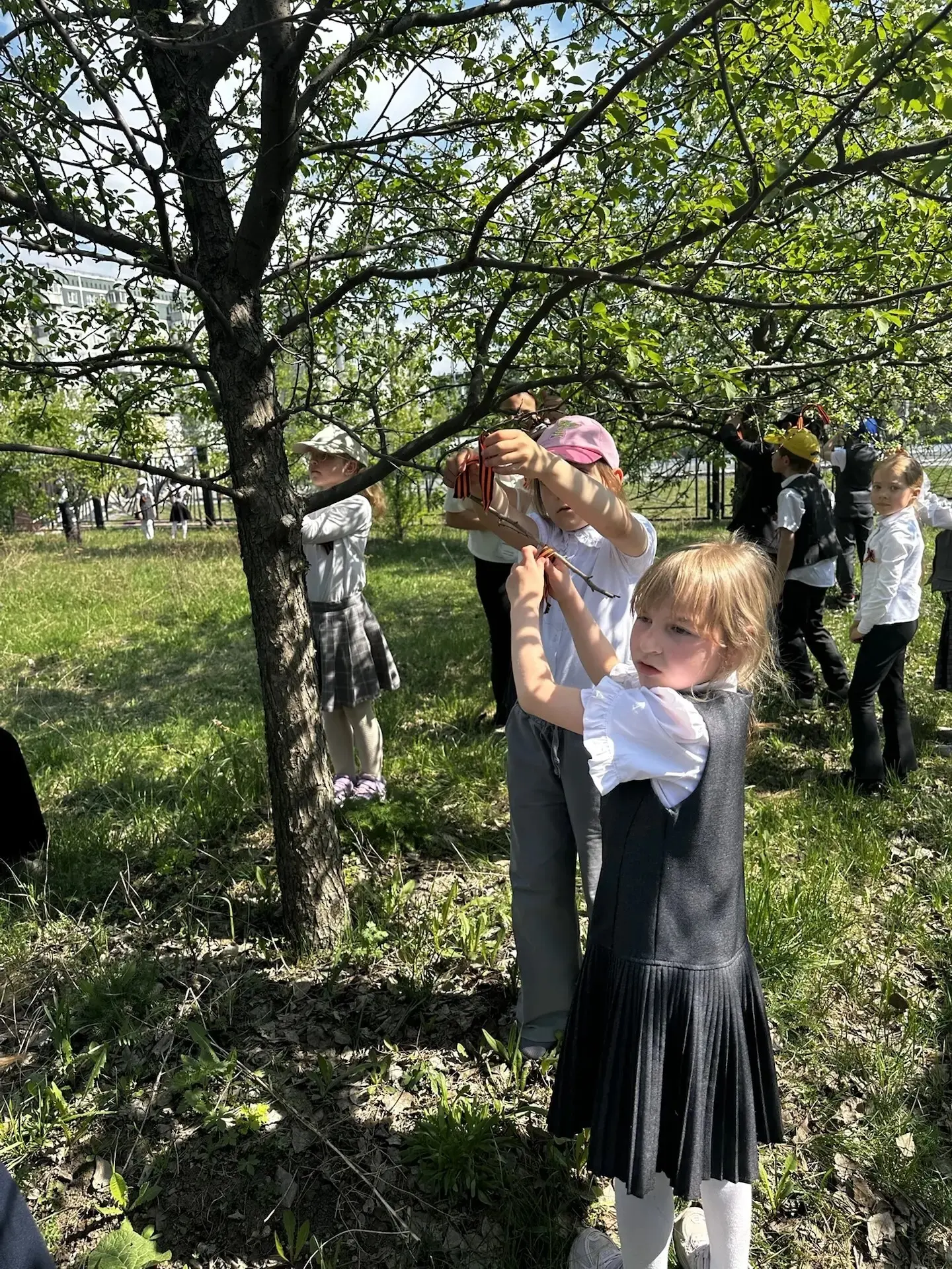 🌳  Георгиевская ленточка на Яблоневой аллее  ✅Каждый год в канун Дня Великой Победы Яблоневая аллея 