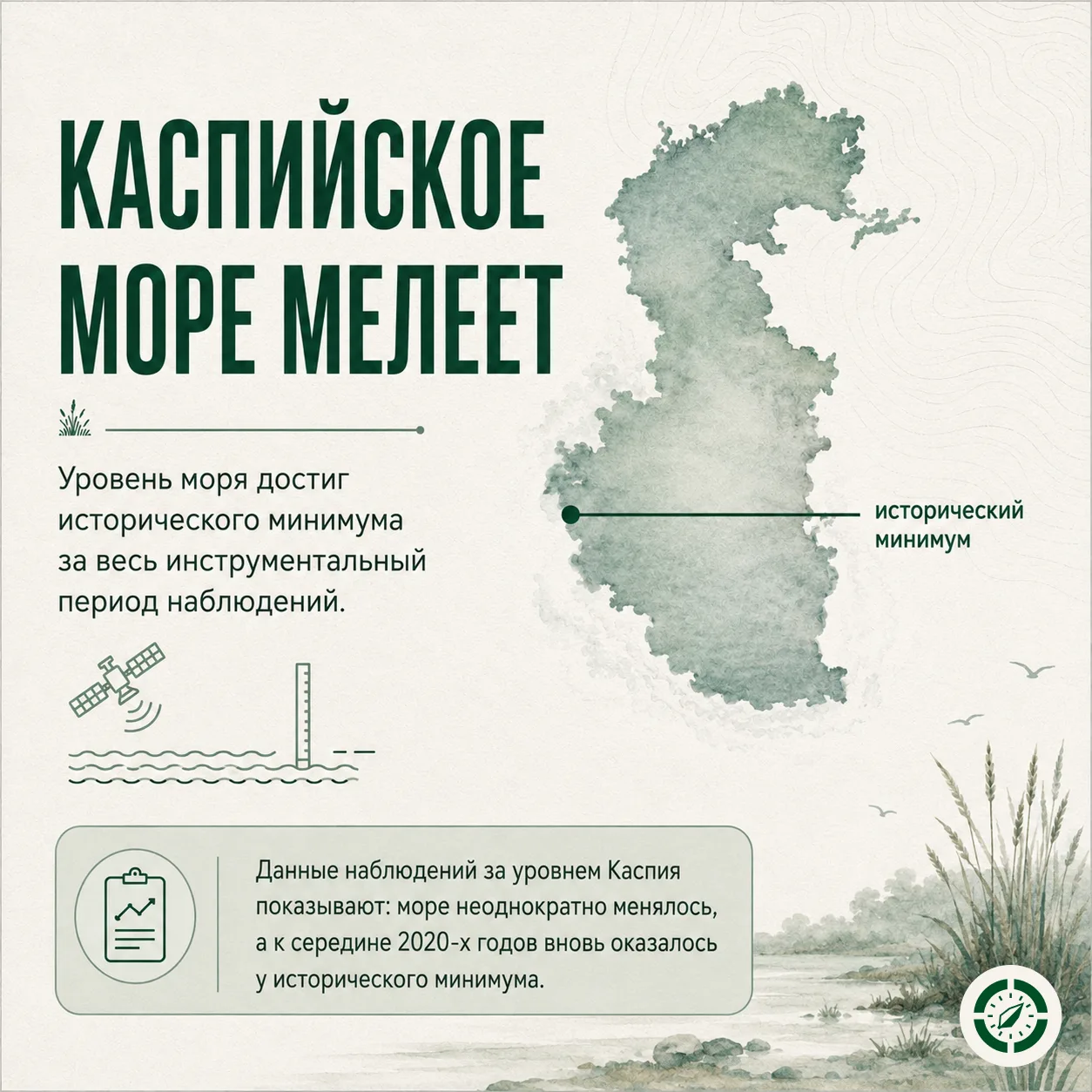 🦭 Что происходит с Каспием и почему это важно для его обитателей