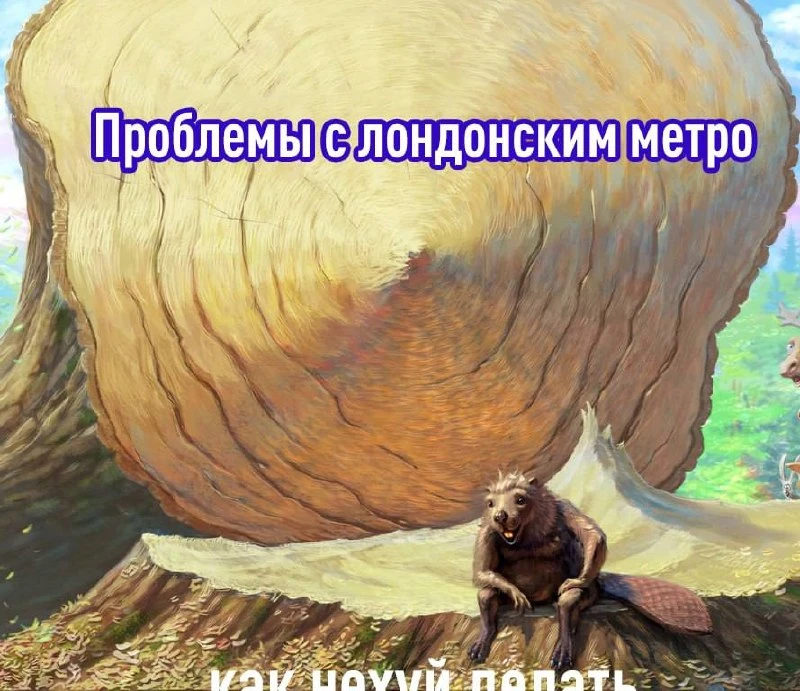 Бобры спасли лондонское метро — инженеры не могли решить проблему с 1970-х💪

Во время сильных ливне