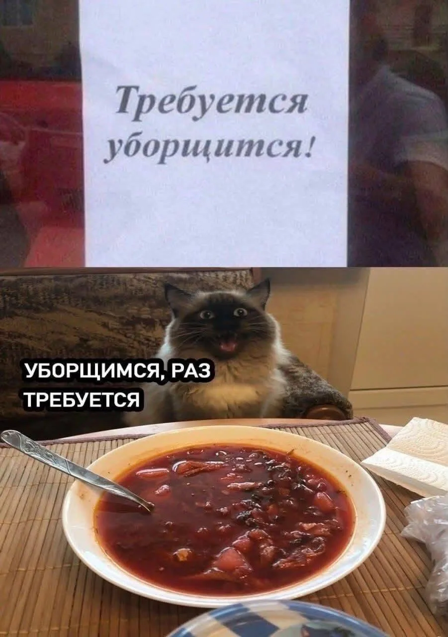 Доброе утро, мои дорогие! ☀️ 

В легкости и гармонии начинаем новую рабочую неделю! 🧘‍♀️ 

Желаю со