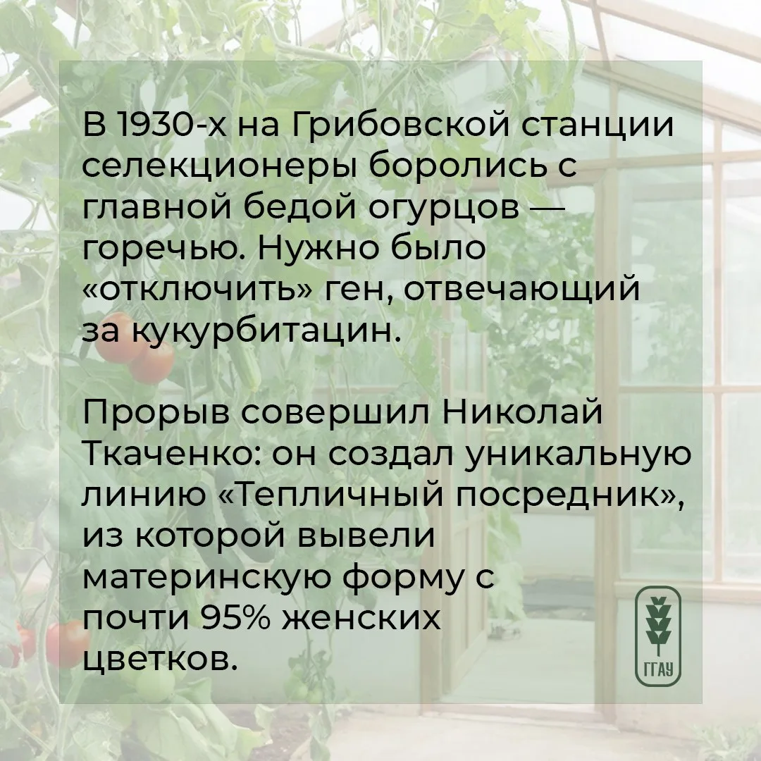 😉 Для одних понедельник – день тяжелый, а мы его сделаем – полезным и интересным. И расскажем о… пол