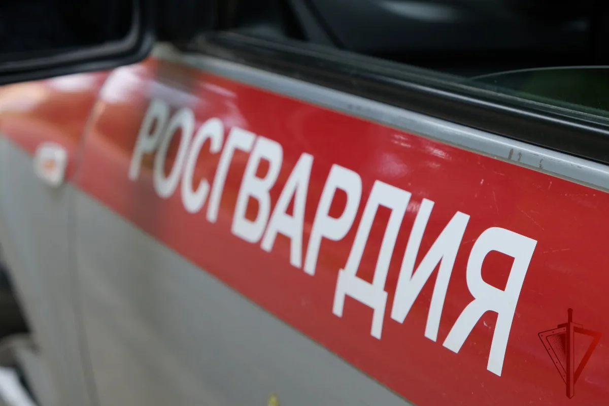 Смоленские росгвардейцы проверили 135 владельцев оружия