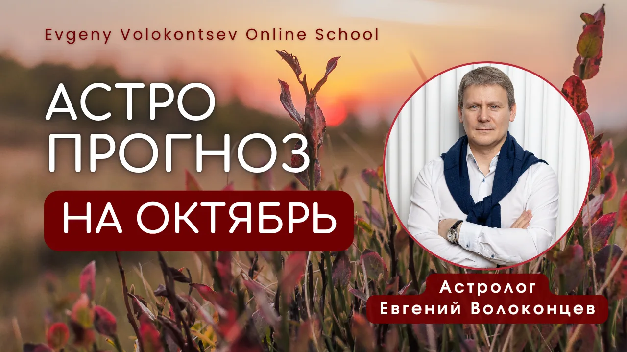 Дорогие друзья,