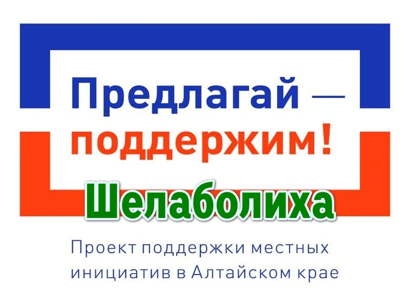 Проект поддержки местных инициатив является наиболее распространенной практикой инициат...