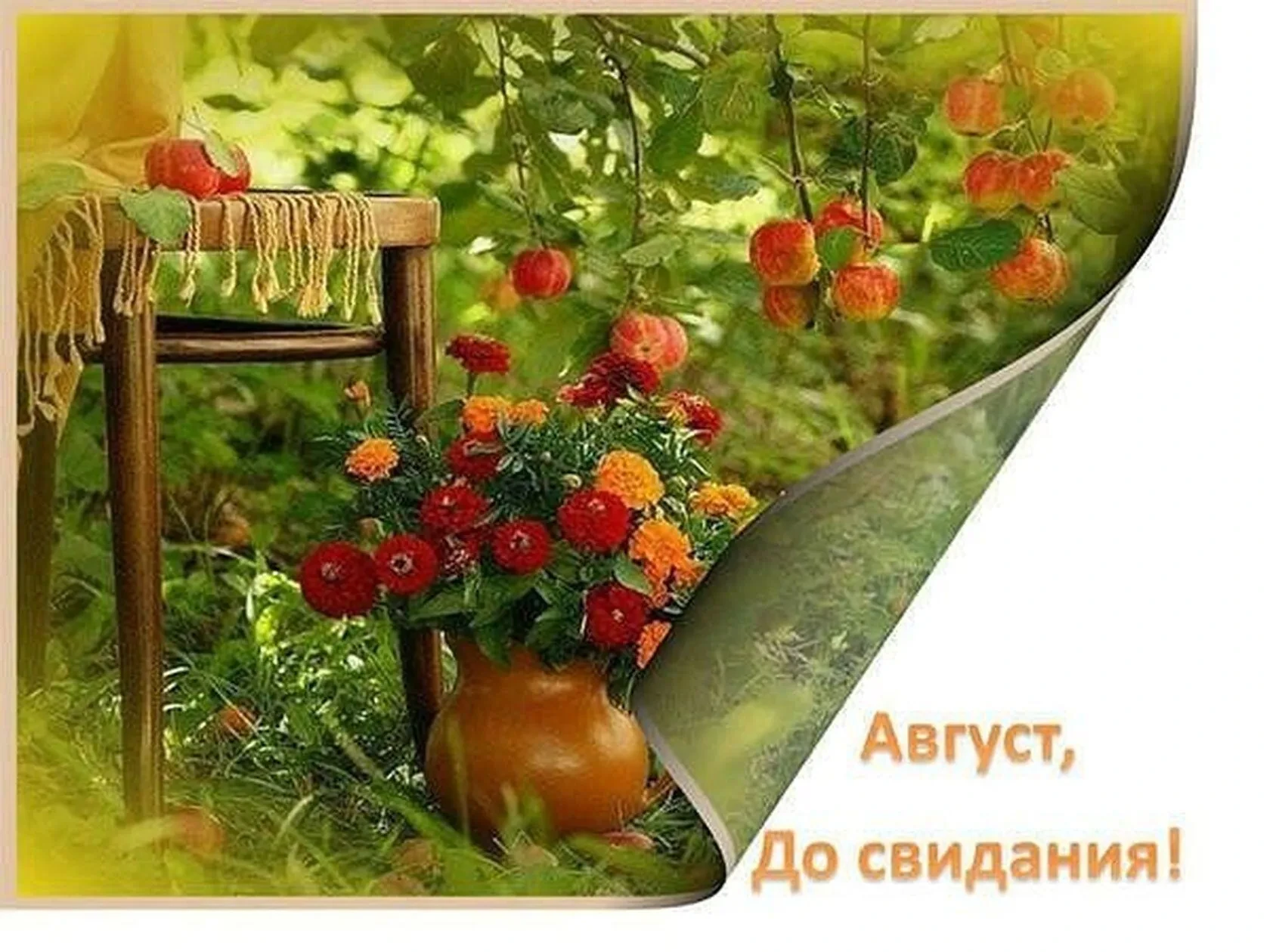 Август говорит нам «до свидания»… 31 августа — последний день лета!