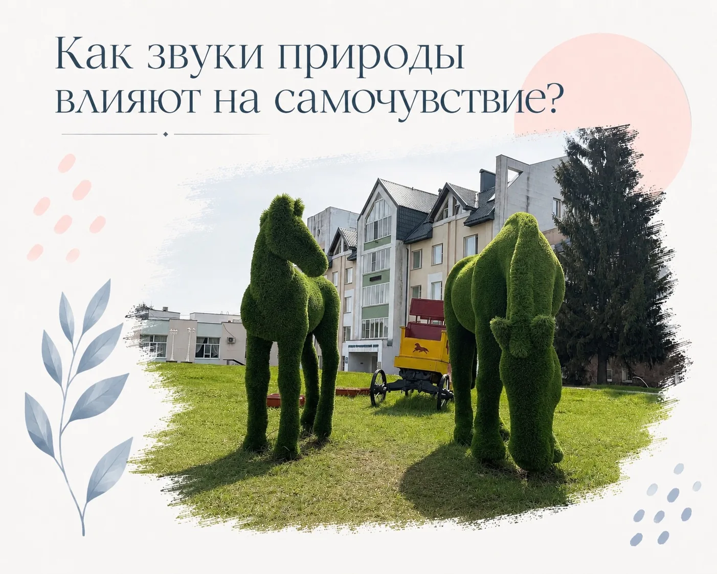 🪴Как звуки природы влияют на самочувствие?