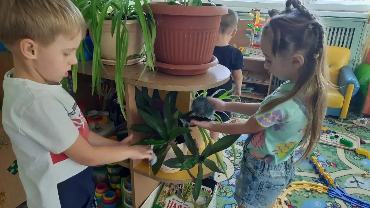 🌿 Трудовая деятельность в уголке природы группы «Ромашки» 🌿