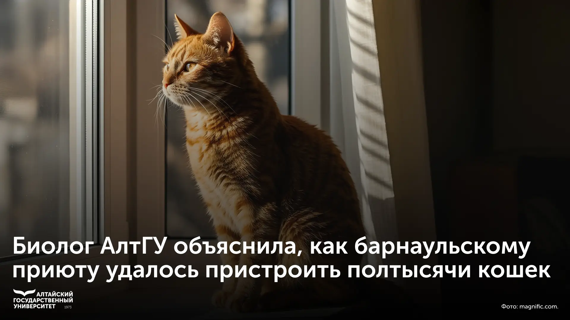 🐈 Ученый-биолог Алтайского государственного университета Татьяна Антоненко объяснила, ...