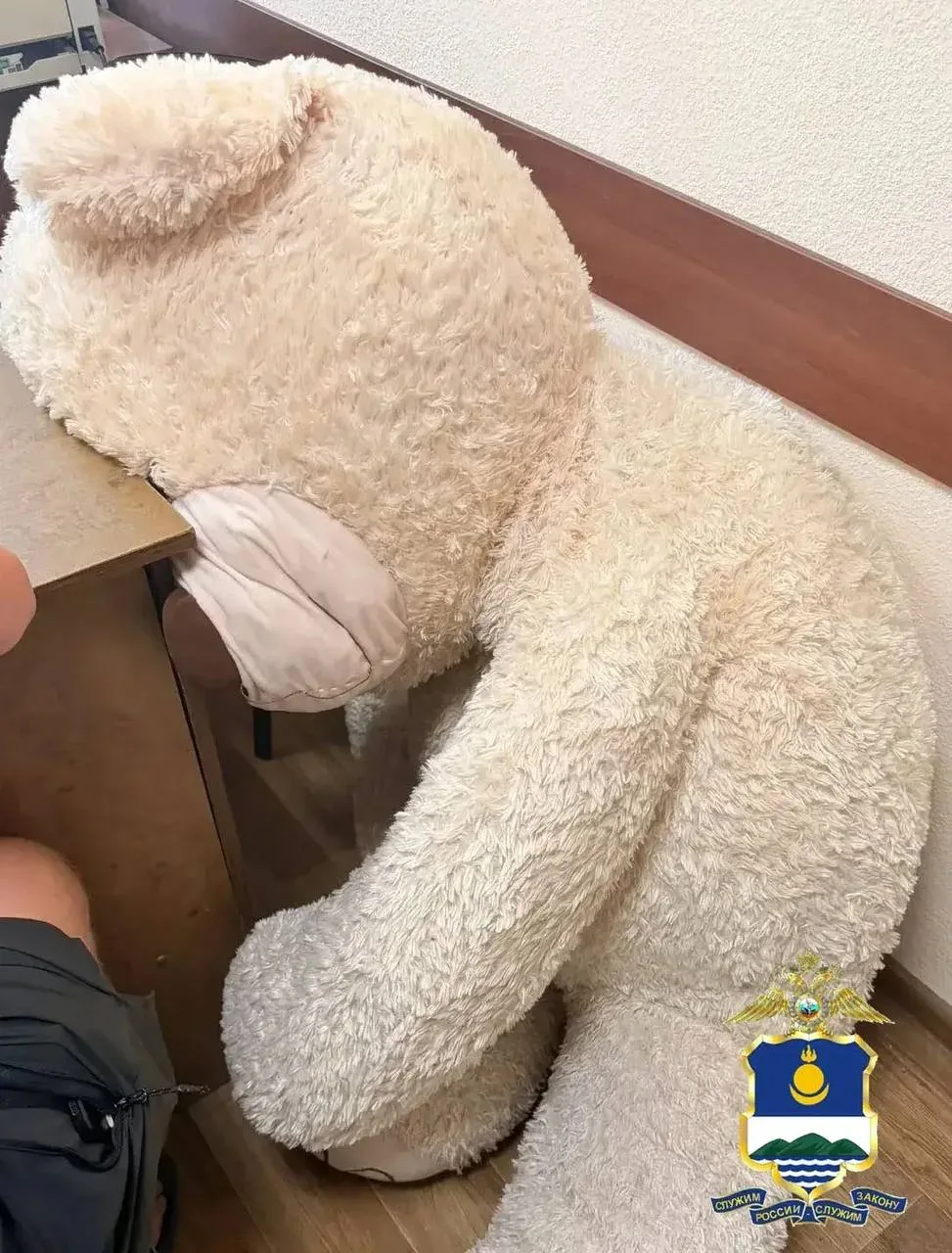 🙄Пьяный улан-удэнец украл двухметрового плюшевого медведя в подарок своей жене