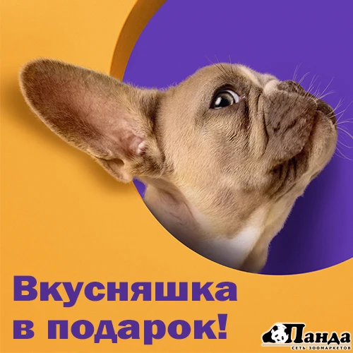 🌟 Внезапная акция! Только сегодня!