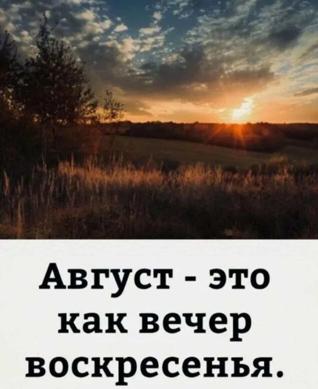 Уже скоро загорятся костры рябин... надо помнить об этом! ❤️
С 1 августа, друзья!