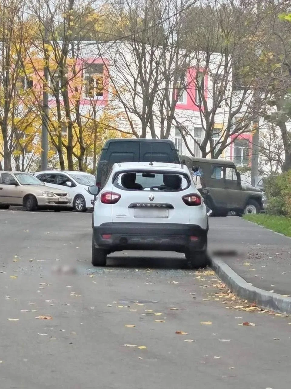 В столичном районе Ясенево мужчина выбросил из окна 20-го этажа четырёх кошек. Животные...