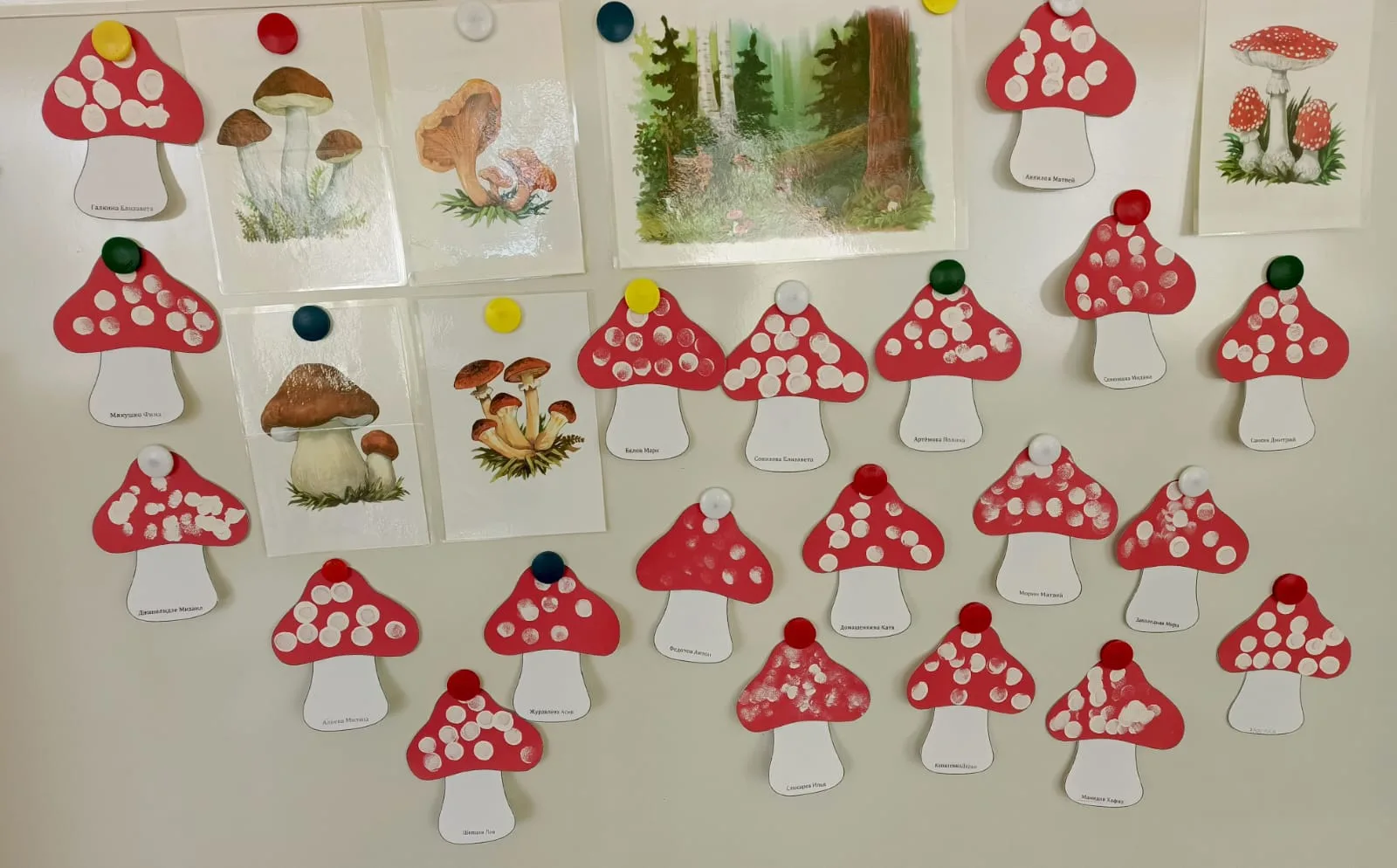 День мухомора🍄🍄изо-деятельность младшая группа 4.