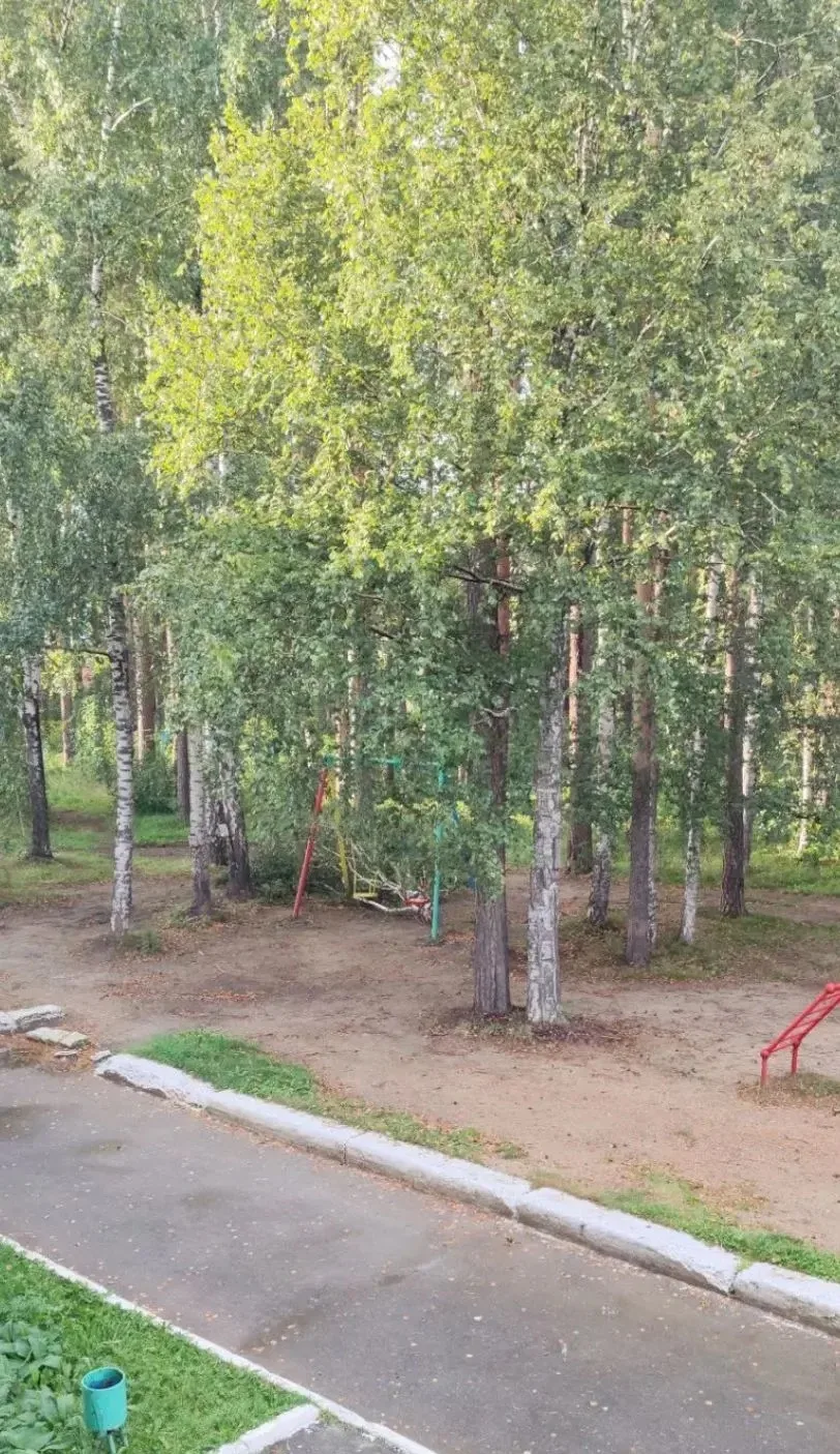 На молодежной 27 около детских качелей упало дерево ⚠️