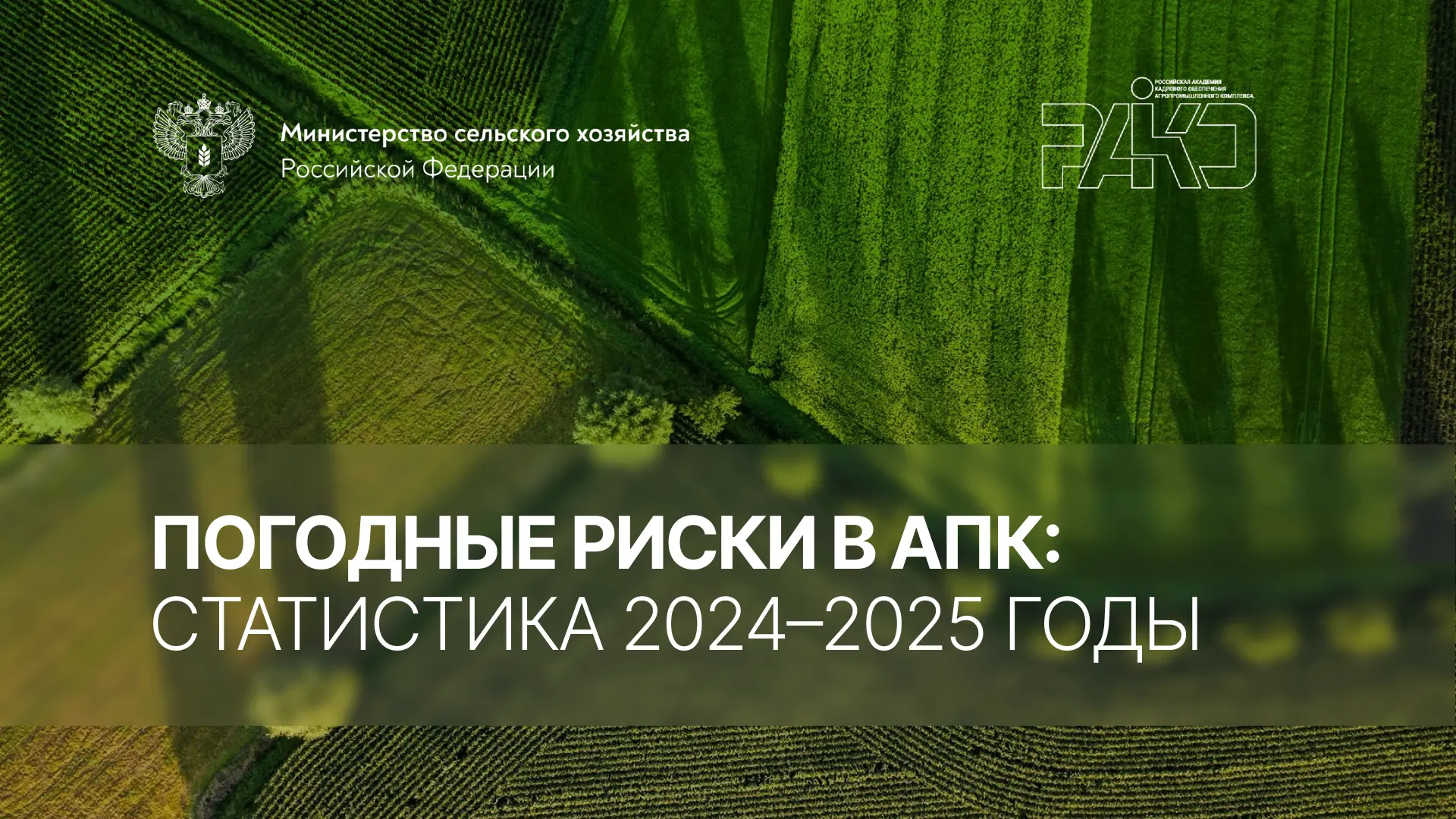 📊 Экстремальные погодные явления — засухи и заморозки — в 2024-2025 годах нанесли сельскому хозяйст