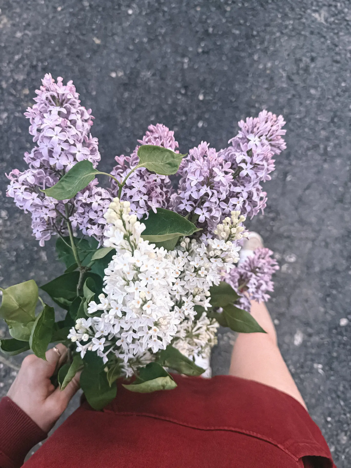 Люблю сирень, есть в ней что-то особое 💜