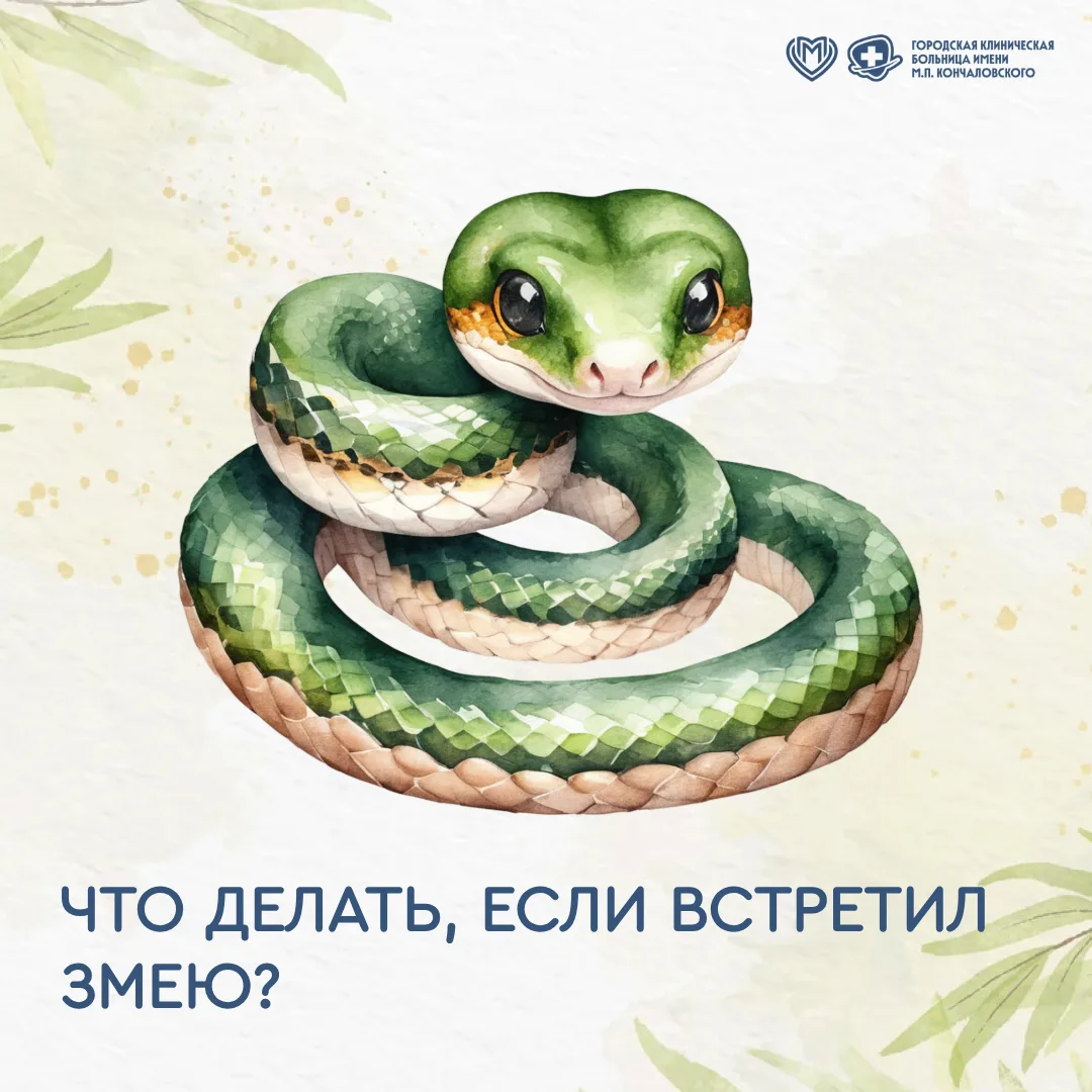 🐍 Лето — время прогулок в лесу и парках, сбора грибов и ягод. А ещё — случайных встреч с пресмыкающ