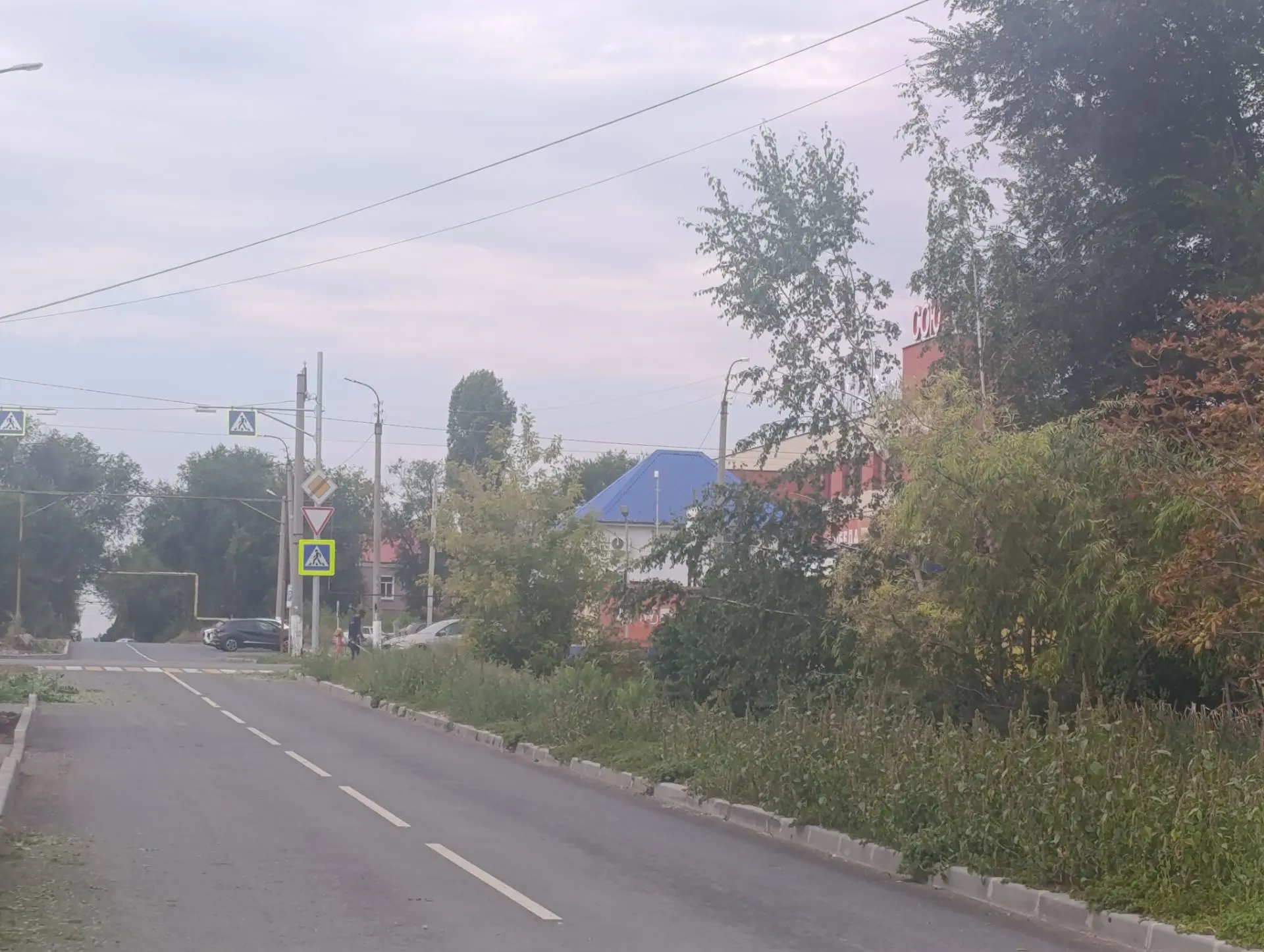 Ручной покос по ул. Ярославская