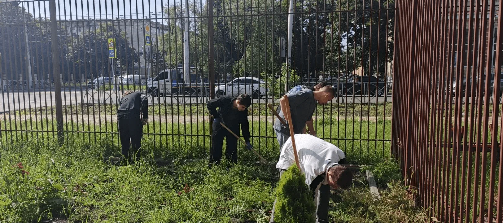 Студенты колледжа приняли участие в акции #ЗаДело: вместе делаем территорию чище и красивее!
В солне