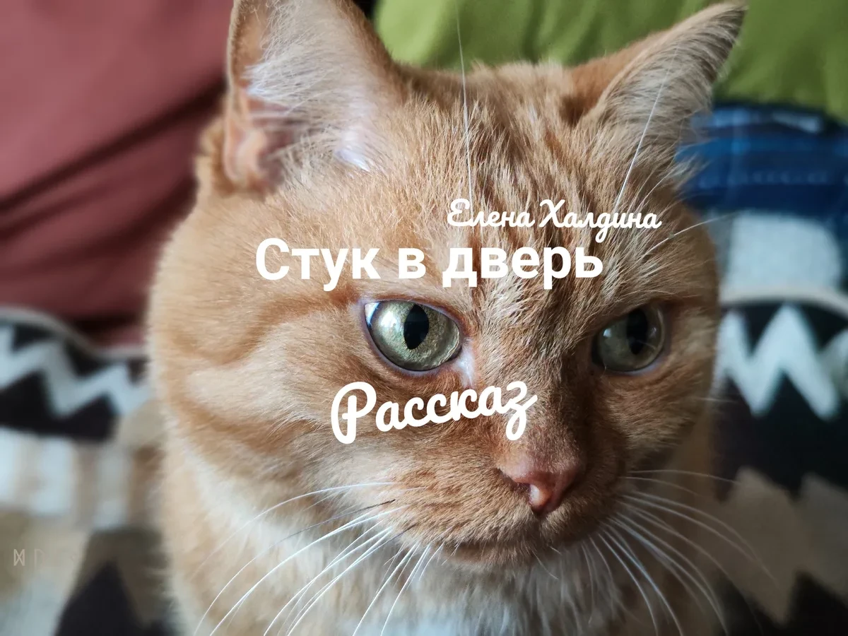 Стук в дверь