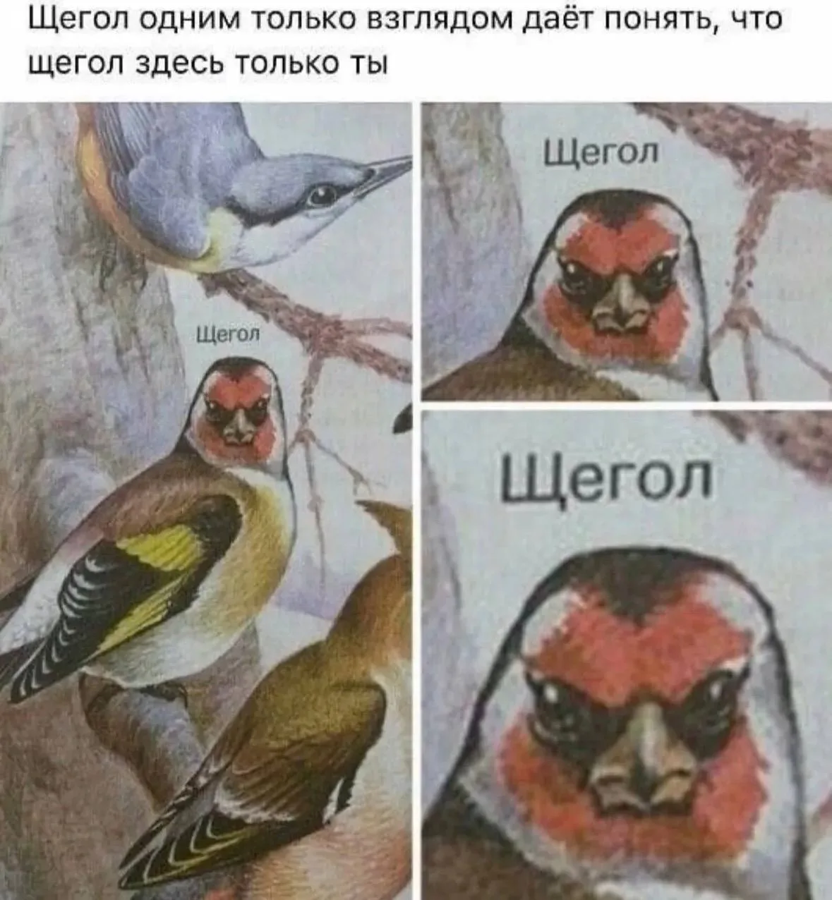 Подпишись на юмор 😂