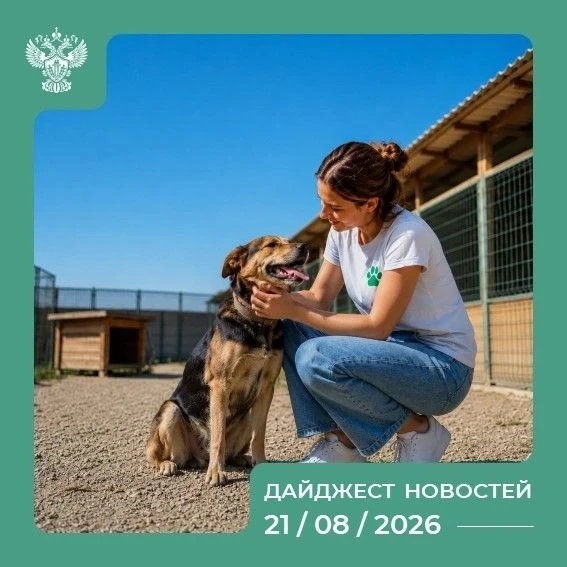 Самые интересные события России на 21.08.2026 💬
