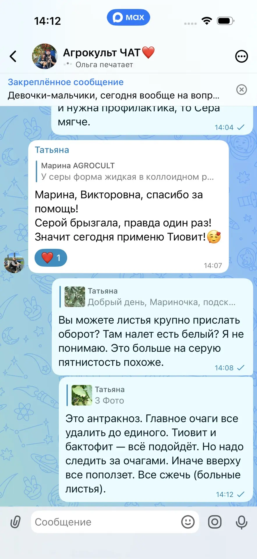💚💚💚А У НАС ВОТ ЧТО